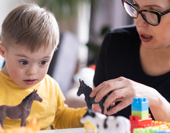 image of teacher holding a toy horse teaching a young male student. young male student is wearing a yellow shirt and holding a toy horse. Lego building blocks are in front of student and teacher.